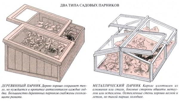 Парник из поликарбоната: размеры и разновидности форм