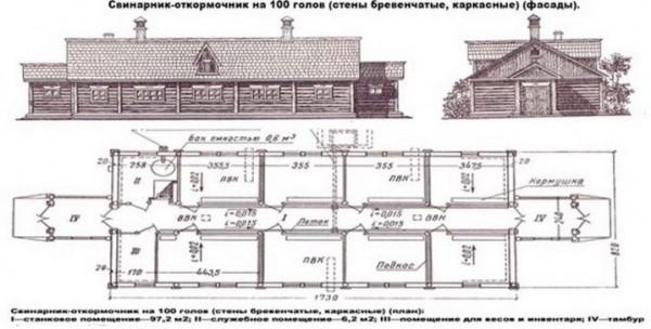 Проекты свинарника: какие бывают, как построить и обустроить внутри?