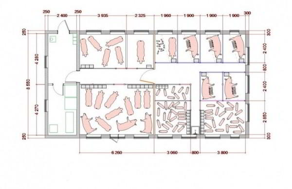 Проекты свинарника: какие бывают, как построить и обустроить внутри?