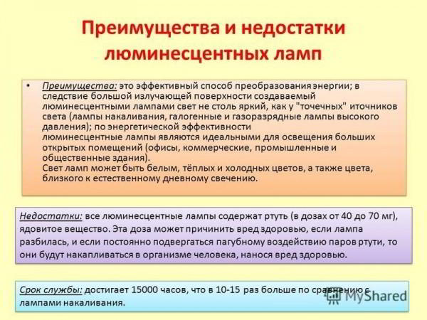 Рейтинг самых выгодных (цена/качество) ламп для домашнего использования