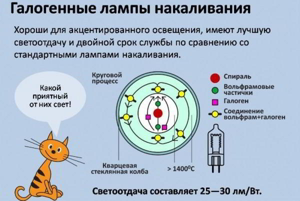 Рейтинг самых выгодных (цена/качество) ламп для домашнего использования