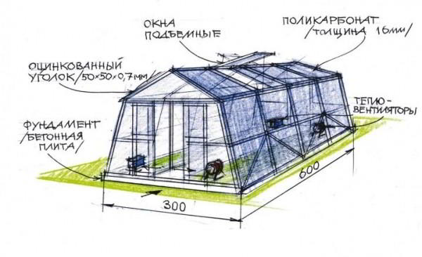 Виды и этапы строительства теплиц