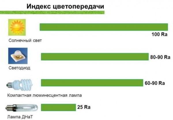 10 советов по выбору энергосберегающих ламп для дома и квартиры