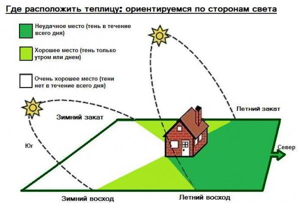 10 советов по выбору теплицы для дачи