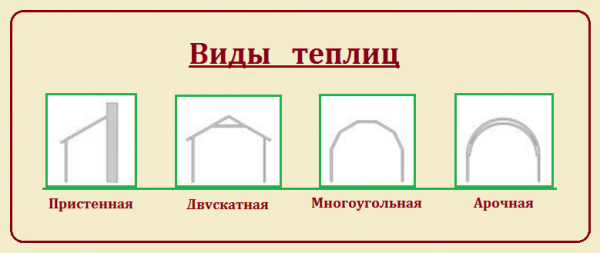 10 советов по выбору теплицы для дачи