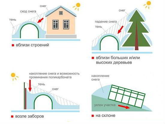 10 советов по выбору теплицы для дачи