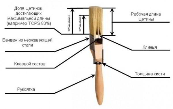 5 советов по выбору малярного инструмента для покраски стен и потолка