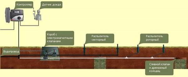 Автоматический полив газона