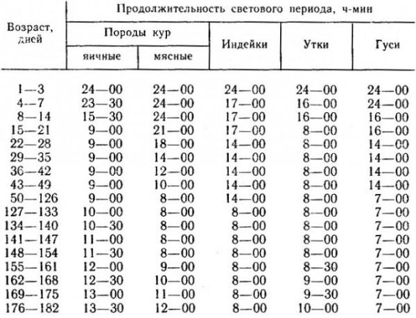 Как построить курятник для кур несушек своими руками