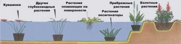 Как сделать пруд на даче своими руками