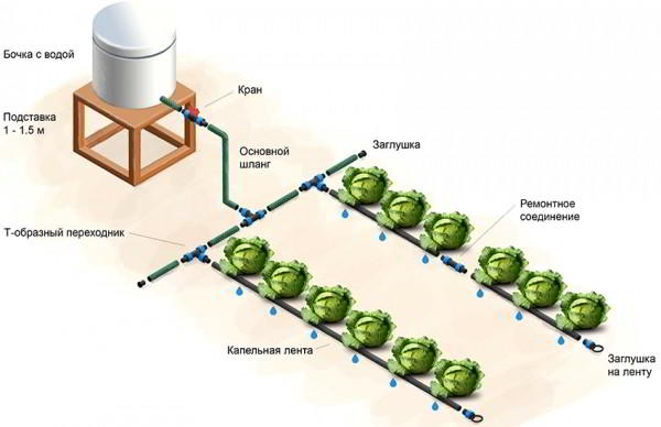 Капельный полив своими руками для дачи без затрат: сделай сам легко и просто