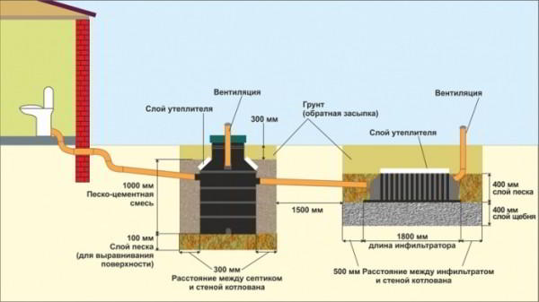 Септик Микроб