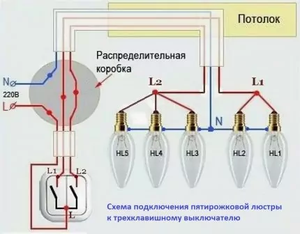 Как подключить лампочку через выключатель: схемы и правила подключения