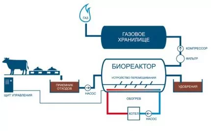 Как получить биогаз из навоза: обзор технологии + устройство установки по производству