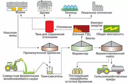 Как получить биогаз из навоза: обзор технологии + устройство установки по производству