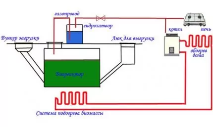 Как получить биогаз из навоза: обзор технологии + устройство установки по производству