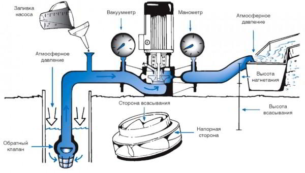 Насос для перекачки воды: обзор разновидностей гидравлических устройств