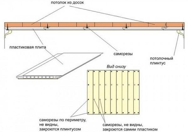 Панели ПВХ: размеры и характеристики изделий для стен и потолка