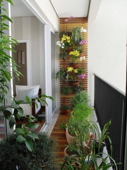 Растения в интерьере дома и квартиры: ТОП-6 советов по использованию и размещению