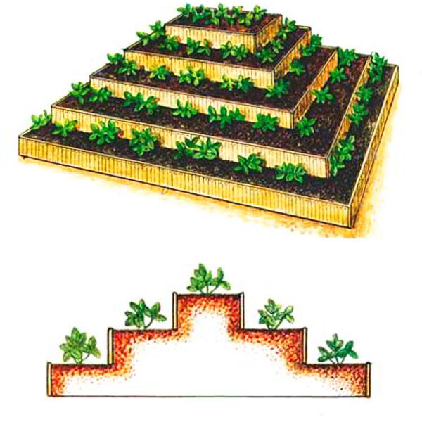 Грядка пирамида для клубники: чертежи, фото