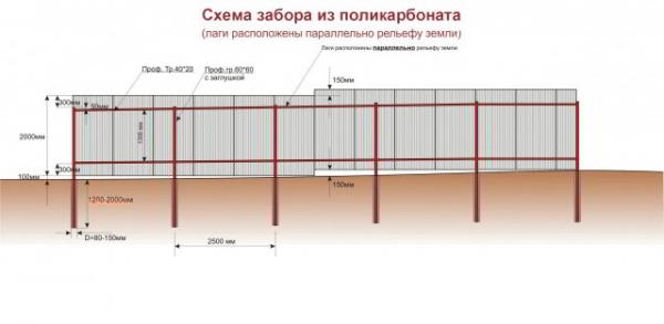 Как сделать забор из поликарбоната своими руками