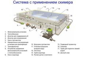 Проекты бань из бруса с бассейном