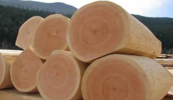 Таблица значений плотности древесины